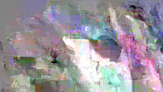 [BangRammed] Carmen Caliente (Pulls Her Legs Back And Does A Split On His Dick / 04.18.2019)